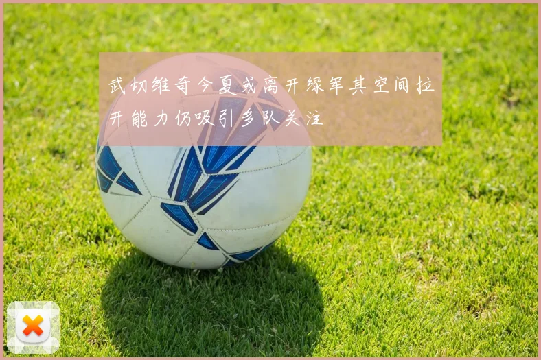 武切维奇今夏或离开绿军其空间拉开能力仍吸引多队关注
